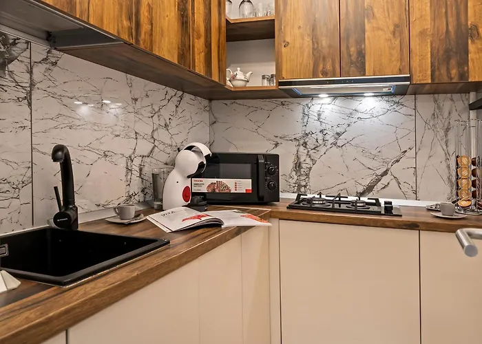 Garsoniera Lux Piata Natiunile Unite Apartmán *